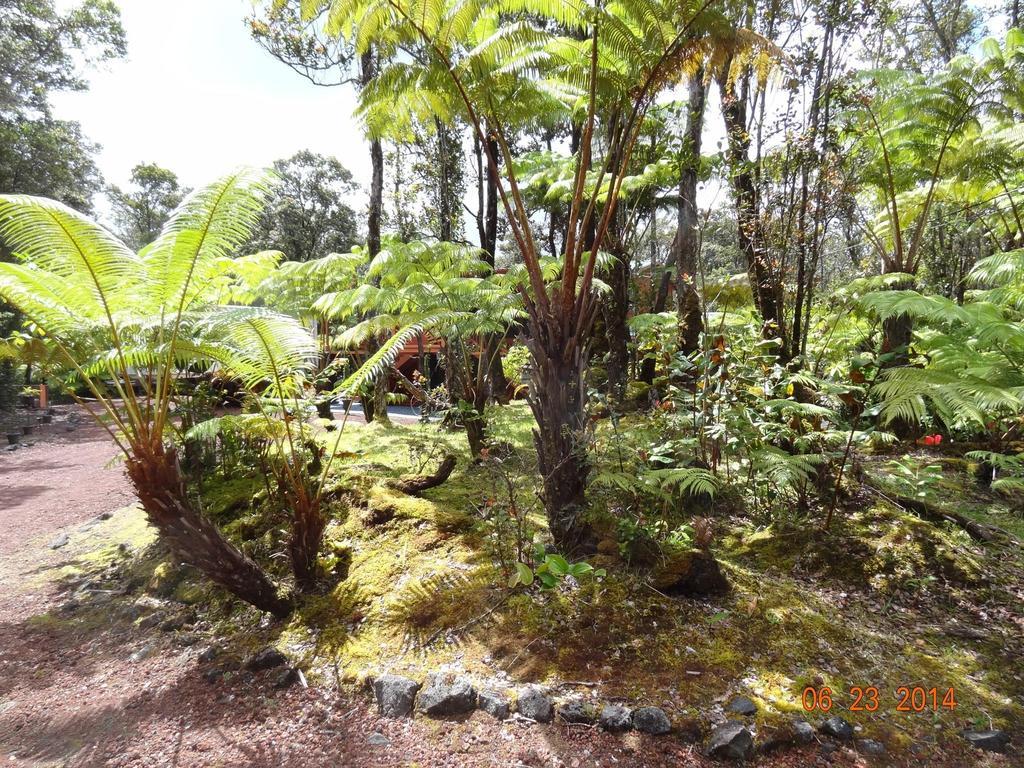 Alii Kane Cottages With Loft Volcano Extérieur photo